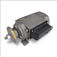 Motor 3SY63SCC2 mit Bremse