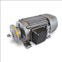 Motor F3SY74C2 mit Bremse